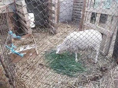 Séjour à la campagne Abuela Simona Vega de Santa María