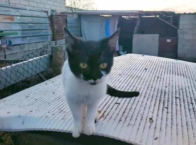 Abuela Simona 컨트리하우스