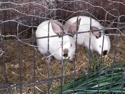 Abuela Simona 컨트리하우스 *